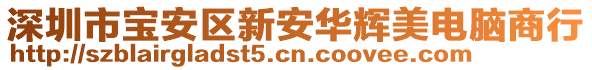 深圳市寶安區(qū)新安華輝美電腦商行