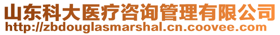 山東科大醫(yī)療咨詢管理有限公司