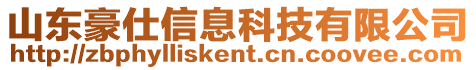 山東豪仕信息科技有限公司