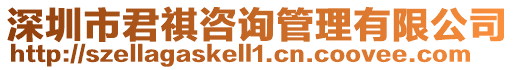 深圳市君祺咨詢管理有限公司