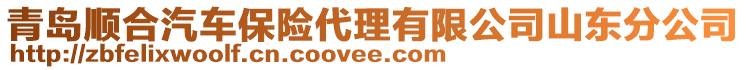 青島順合汽車保險代理有限公司山東分公司