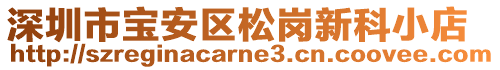 深圳市寶安區松崗新科小店