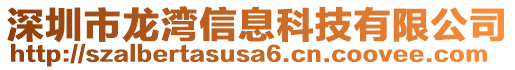 深圳市龍灣信息科技有限公司