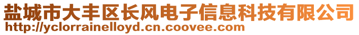 鹽城市大豐區(qū)長風(fēng)電子信息科技有限公司