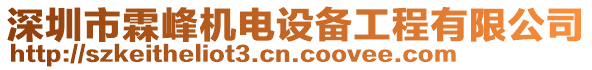 深圳市霖峰機電設備工程有限公司