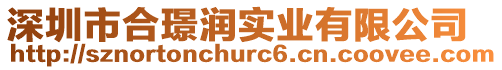 深圳市合璟潤實業有限公司