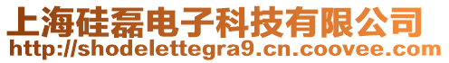 上海硅磊電子科技有限公司