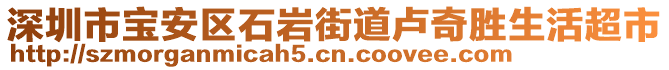 深圳市寶安區(qū)石巖街道盧奇勝生活超市