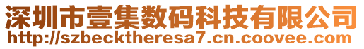 深圳市壹集數(shù)碼科技有限公司