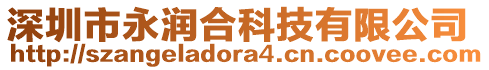 深圳市永潤合科技有限公司