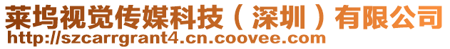 萊塢視覺傳媒科技(深圳)有限公司