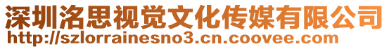深圳洺思視覺文化傳媒有限公司