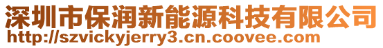 深圳市保潤新能源科技有限公司