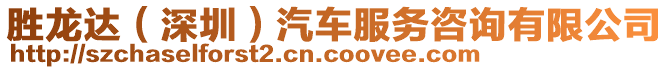 勝龍達(dá)（深圳）汽車服務(wù)咨詢有限公司