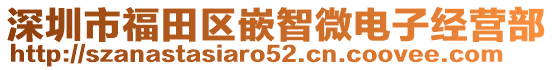 深圳市福田區(qū)嵌智微電子經(jīng)營部