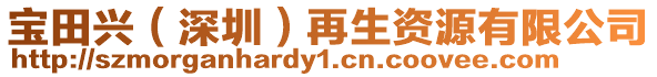 寶田興（深圳）再生資源有限公司