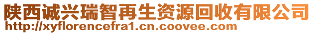 陜西誠(chéng)興瑞智再生資源回收有限公司