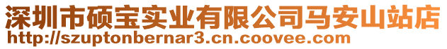 深圳市碩寶實業有限公司馬安山站店