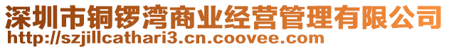 深圳市銅鑼灣商業經營管理有限公司
