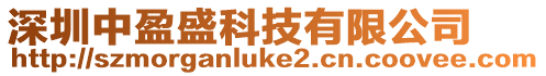 深圳中盈盛科技有限公司