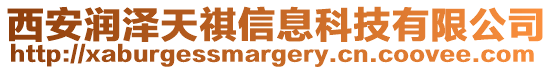 西安潤澤天祺信息科技有限公司
