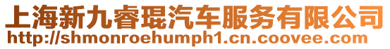 上海新九睿琨汽車服務(wù)有限公司