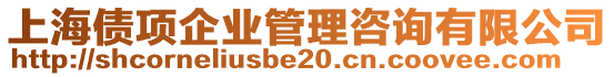 上海債項企業管理咨詢有限公司
