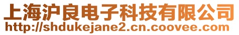 上海滬良電子科技有限公司