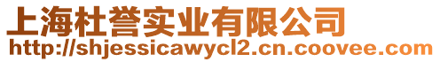 上海杜譽實業有限公司