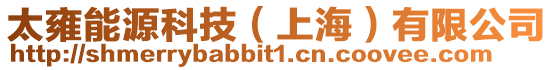 太雍能源科技（上海）有限公司