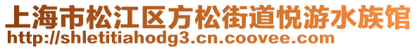 上海市松江區(qū)方松街道悅游水族館