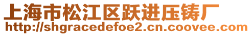 上海市松江區(qū)躍進(jìn)壓鑄廠