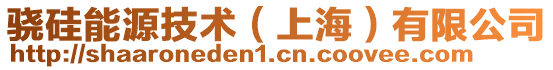 驍硅能源技術（上海）有限公司