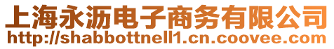 上海永瀝電子商務(wù)有限公司