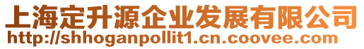 上海定升源企業發展有限公司