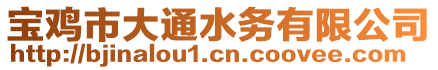 寶雞市大通水務有限公司