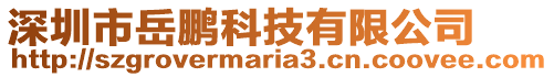 深圳市岳鵬科技有限公司