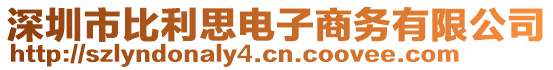 深圳市比利思電子商務(wù)有限公司