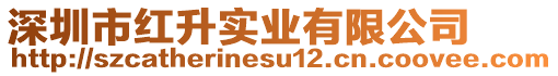 深圳市紅升實(shí)業(yè)有限公司