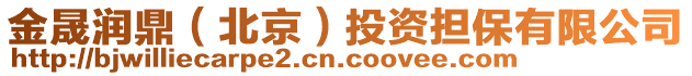 金晟潤鼎（北京）投資擔保有限公司