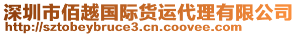 深圳市佰越國際貨運代理有限公司