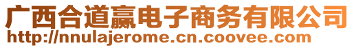 廣西合道贏電子商務(wù)有限公司