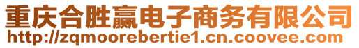 重慶合勝贏電子商務(wù)有限公司