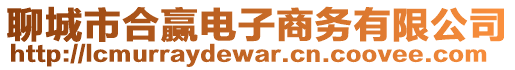 聊城市合贏電子商務(wù)有限公司