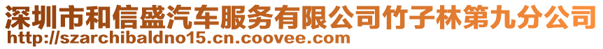 深圳市和信盛汽車服務(wù)有限公司竹子林第九分公司