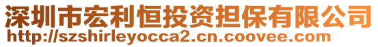 深圳市宏利恒投資擔(dān)保有限公司