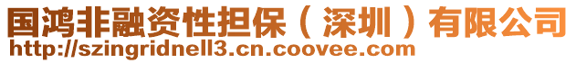 國(guó)鴻非融資性擔(dān)保（深圳）有限公司