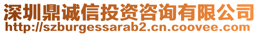 深圳鼎誠信投資咨詢有限公司