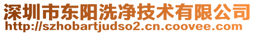 深圳市東陽(yáng)洗凈技術(shù)有限公司