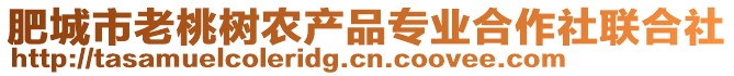 肥城市老桃樹農(nóng)產(chǎn)品專業(yè)合作社聯(lián)合社